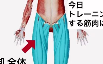 簡単！脚のトレーニング